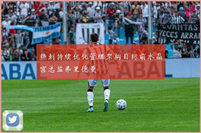 热刺持续优化管理架构目标前水晶宫总监弗里德曼