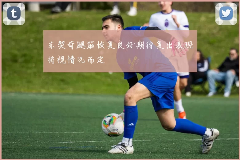 东契奇腿筋恢复良好期待复出表现将视情况而定