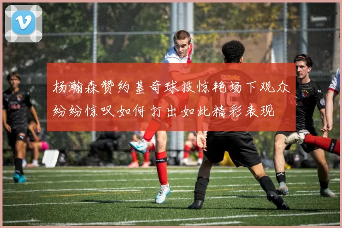 杨瀚森赞约基奇球技惊艳场下观众纷纷惊叹如何打出如此精彩表现