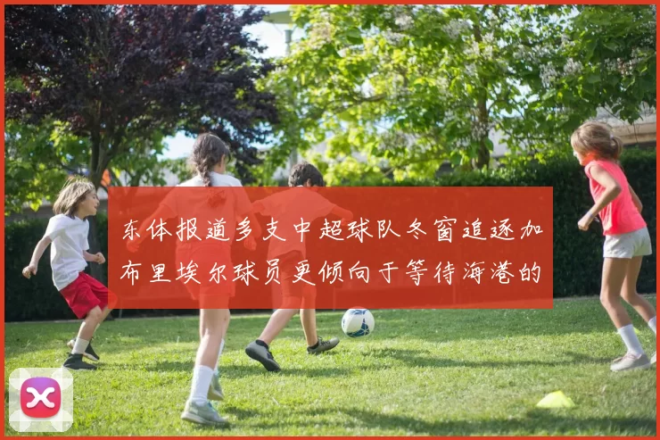东体报道多支中超球队冬窗追逐加布里埃尔球员更倾向于等待海港的机会